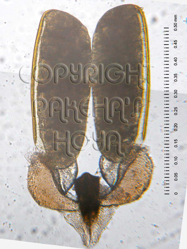 01A01-NS05-240-01c.jpg