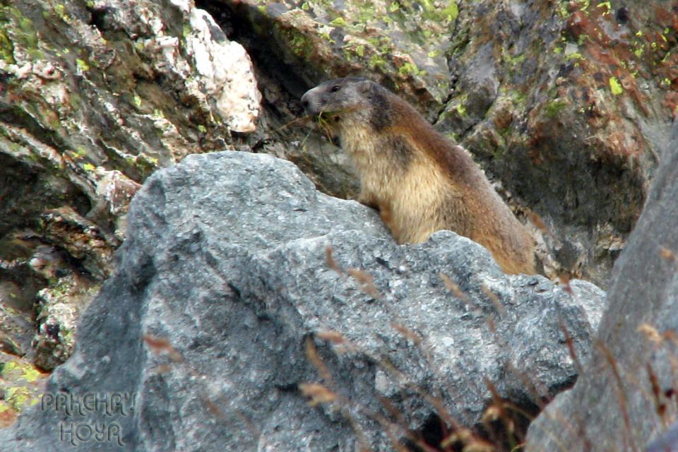IMG_2259.JPG