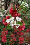 15-IMG_3258.JPG