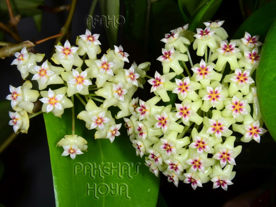 20120239.jpg
