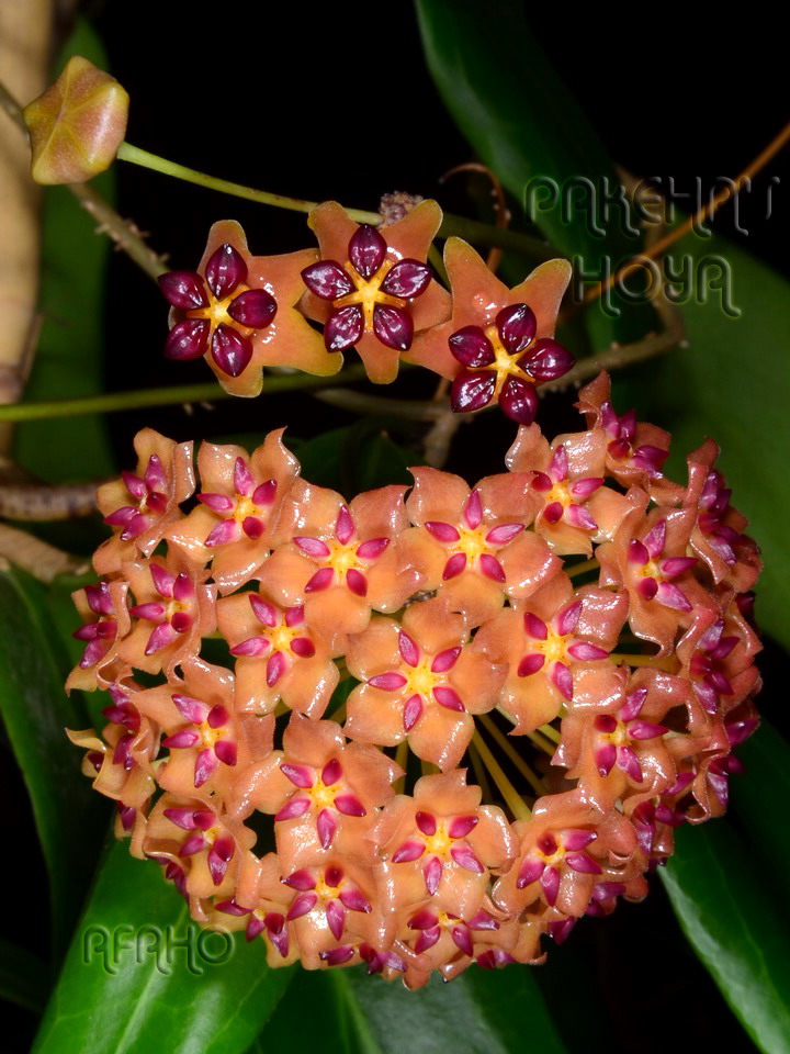 20120332.jpg
