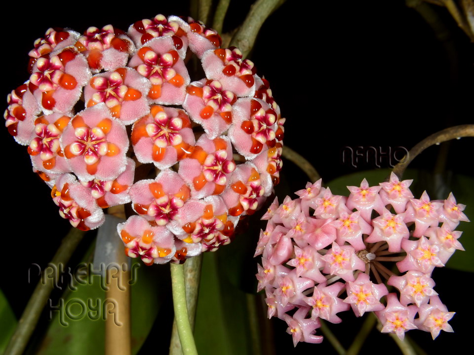 20130034.jpg