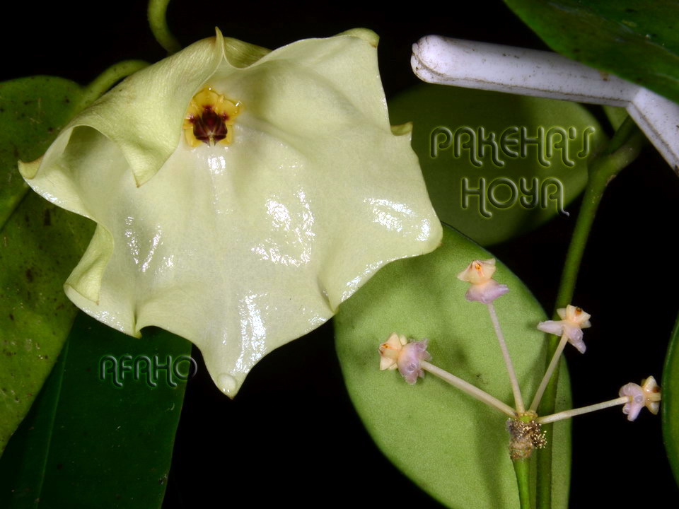 20130054.jpg